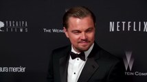 Leonardo DiCaprio is Collaborating with Netflix to Make a Gorilla Documentary