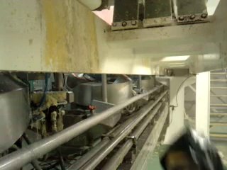 N°29; hommage au karcher