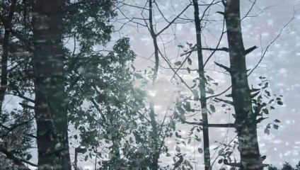 Say Something (I'm Giving Up On You)