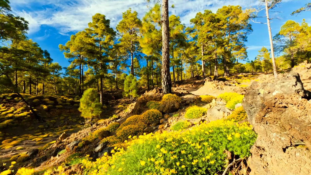 Un timelapse du paradis
