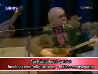 Aşık Gülabi - Ne Hazin Bakarsın
