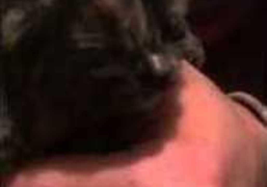 Kitten Squeaks in Slo-Mo