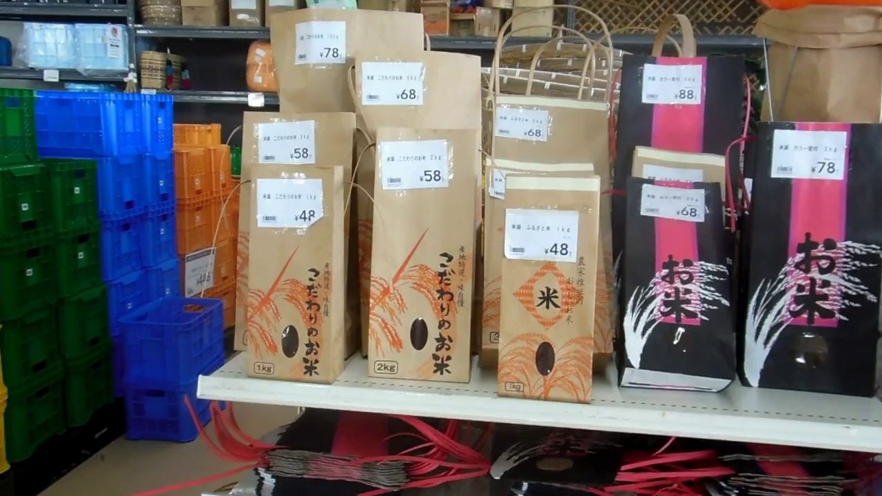 Harvest Time in Japan!