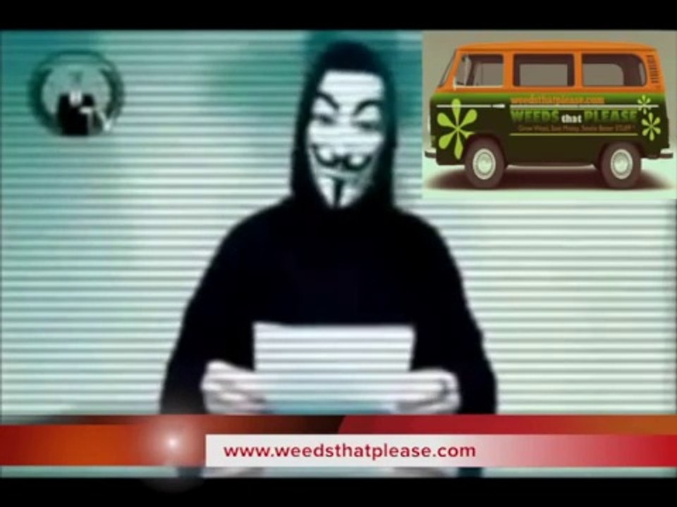 Growing marijuana indoors. Germinating, cloning, & harvesting cannabis.