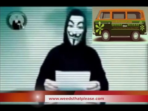 Growing marijuana indoors. Germinating, cloning, & harvesting cannabis.