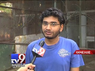 Ahmedabad Steep hike marked in price of birds - Tv9 Gujarati