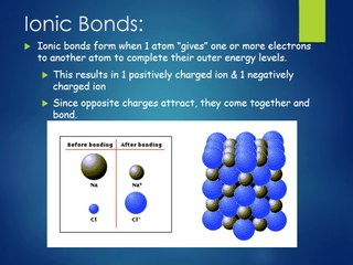 Master Basic Chemistry Easily with MyAssignmentHelp 📚