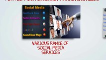 About Social Media Penguin | Social Media Services