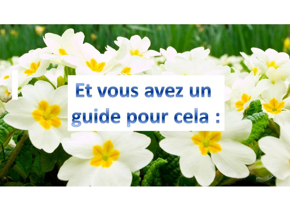 Etre Positif - Pensée Positive