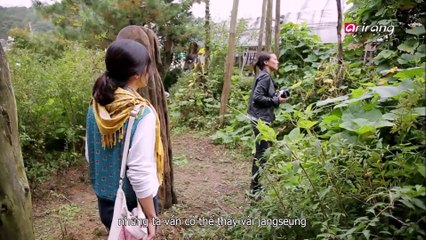 In Frame (Vietnamese) Ep08 Heart of Tradition