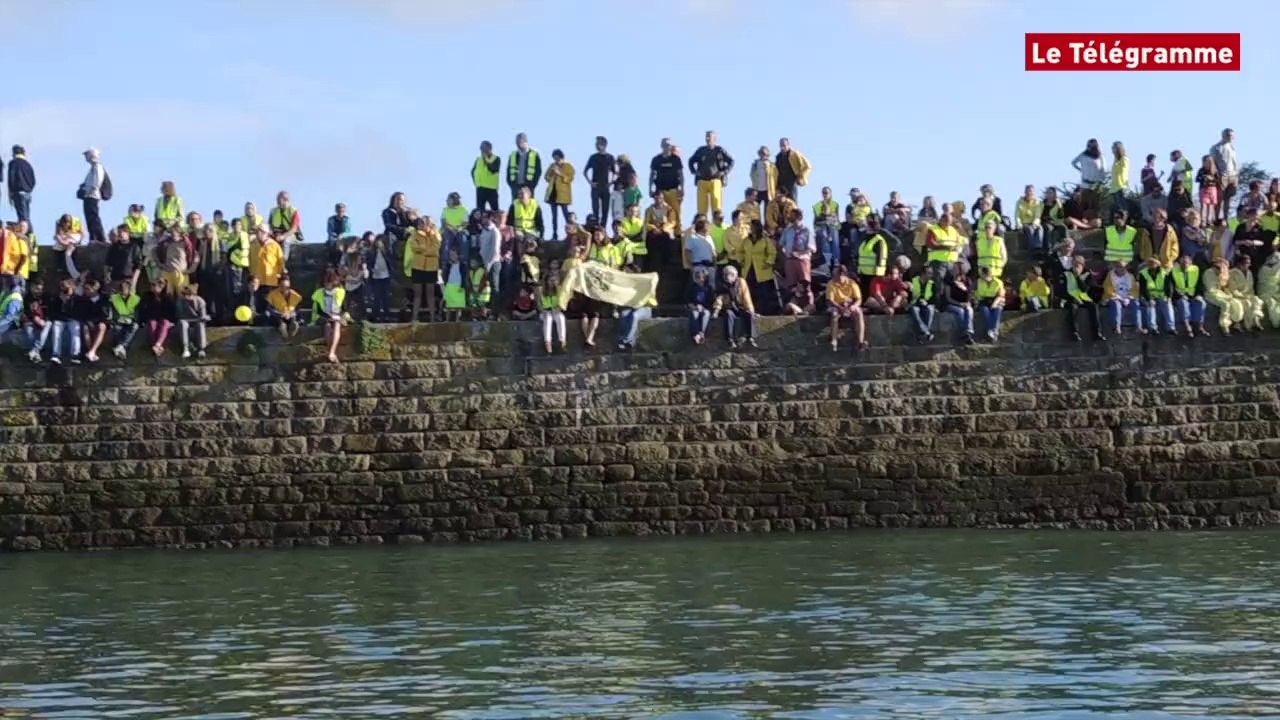 Belle-Ile : marée jaune sur le port
