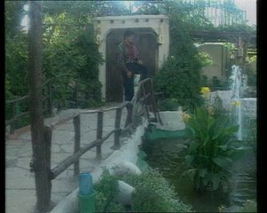 وليد توفيق - ربيت على حبي