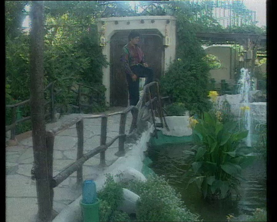 وليد توفيق - ربيت على حبي