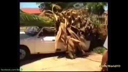 Epic Fail & Win Compilation May 2014 THE BEST FAILS & WINS COMPILATION 017