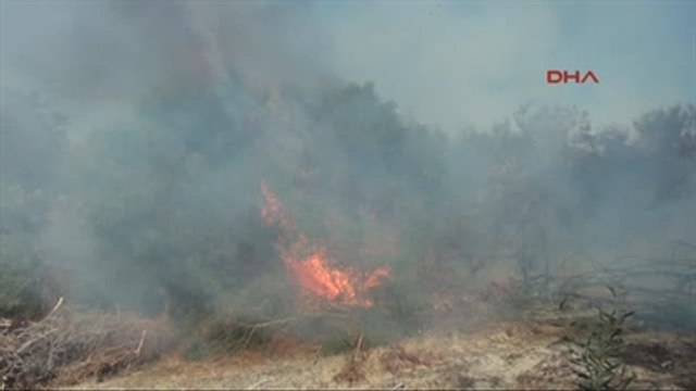 Muğla Seydikemer'de Orman Yangını Sürüyor
