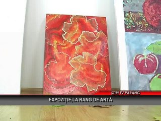 Expozitie,la rang de arta