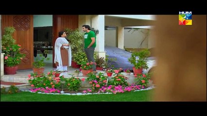 Agar Tum Na Hotay Episode 46 HUM TV Drama