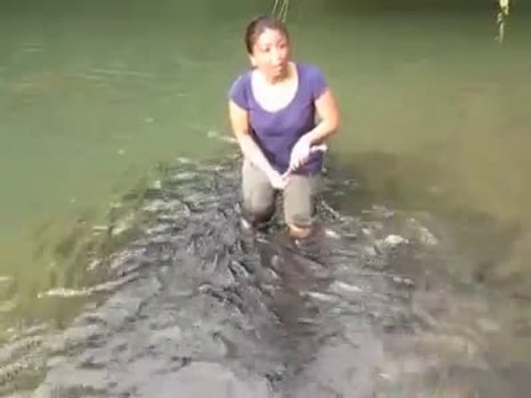 Amazing Fishes Playing With Girl