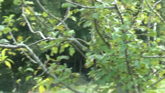 LES PROMENADES DE MICHOU64 W-D.D. - 19 OCTOBRE 2014 - LE LAC DU GABASSOT PRES DE GARLIN.