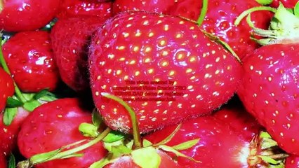 See nowacid alkaline diet