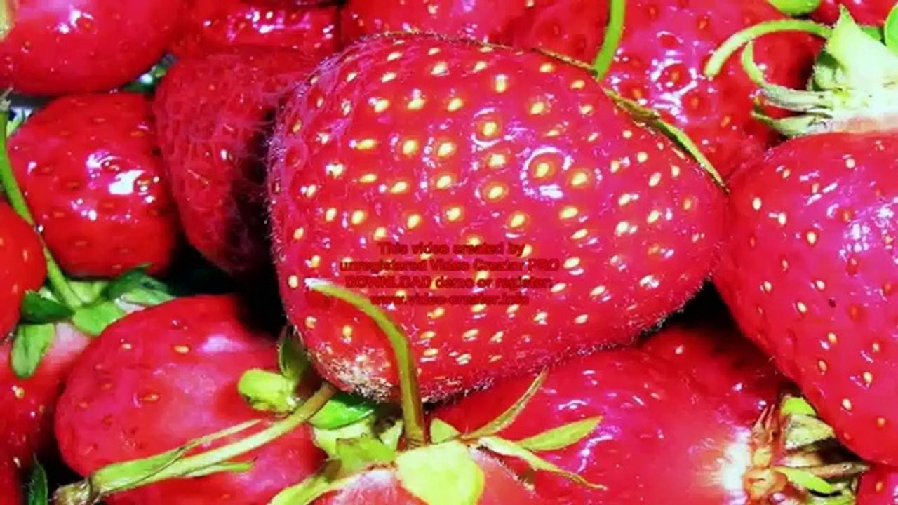 See nowacid alkaline diet