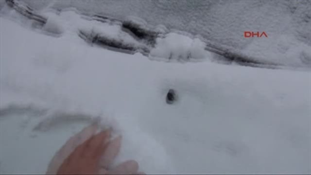 Van'daki Kar Yağışı Hayatı Olumsuz Etkiliyor Ek