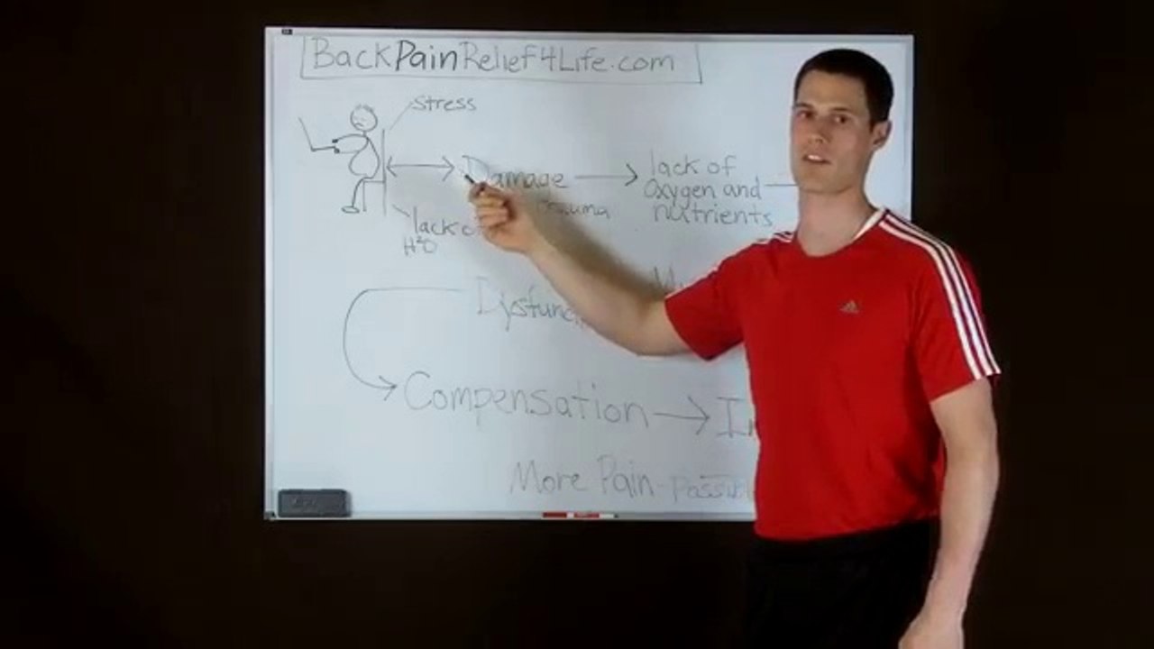 Back Pain Relief4Life