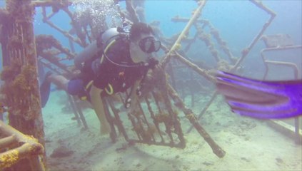 Tioman Trip 17 October OWDC