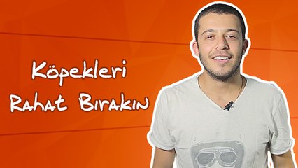Köpekleri Rahat Bırakın - 3,2,1 Başla!