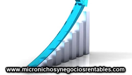 Micro nichos rentables explicados hoy