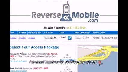 Recognize Phone Detective Service phone number owner