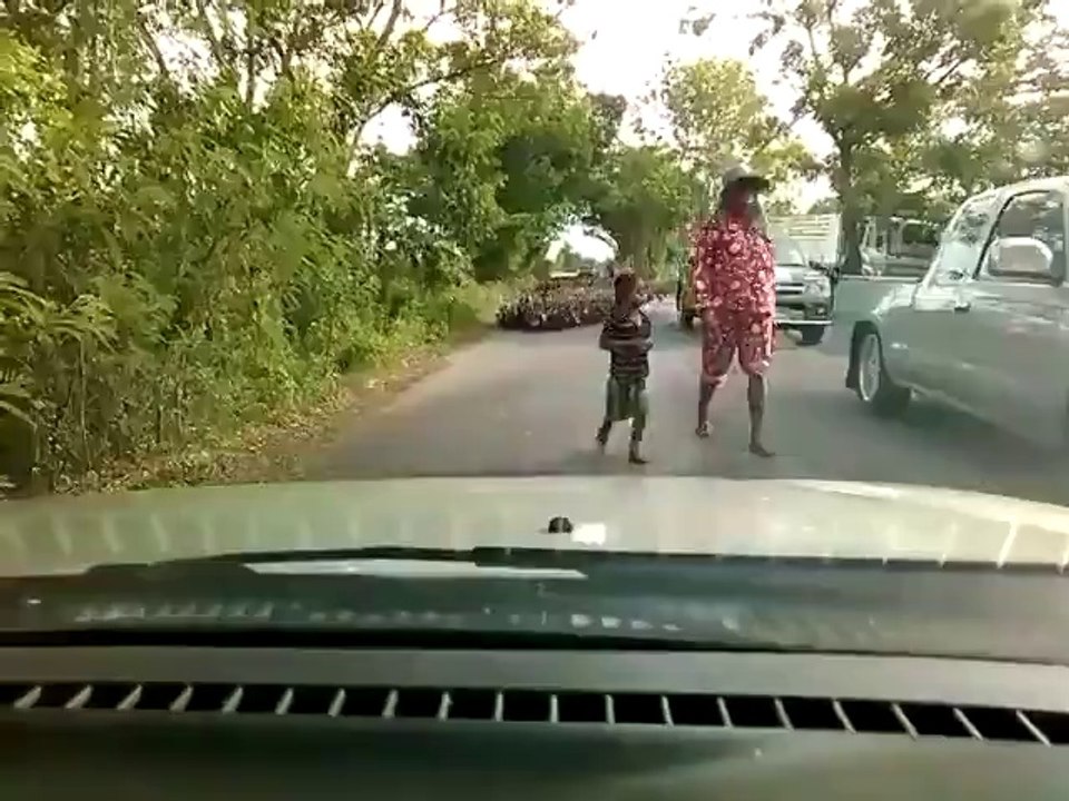 Des canards, beaucoup de canards