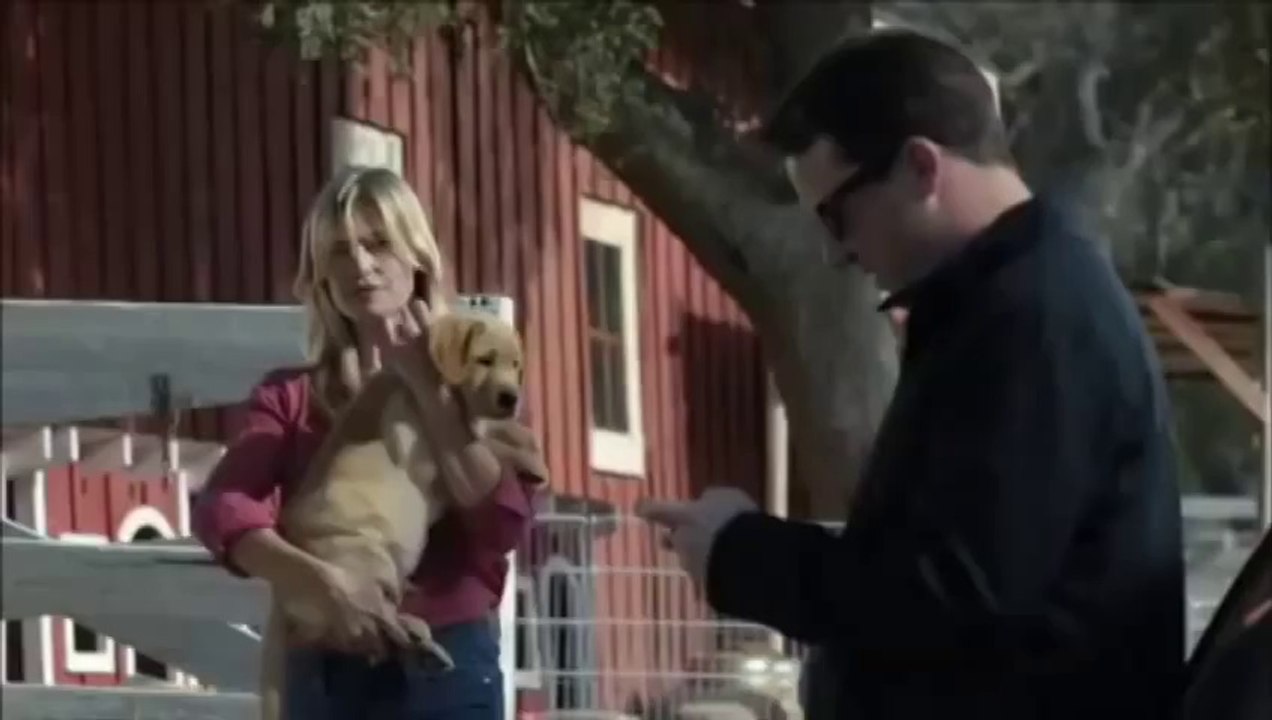 La formidable amitié entre un chien et un cheval