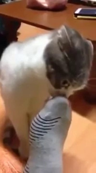 Ça sent bizarre..