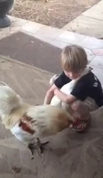 Un enfant et une poule se font un calin