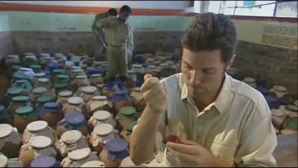 L'effet du venin sur le sang