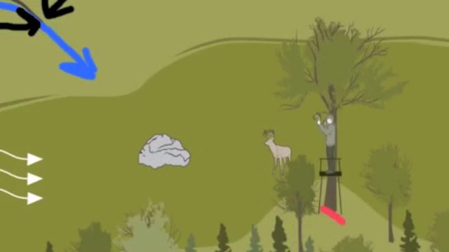 Tip of the Week: Decoy Pre-Rut Bucks