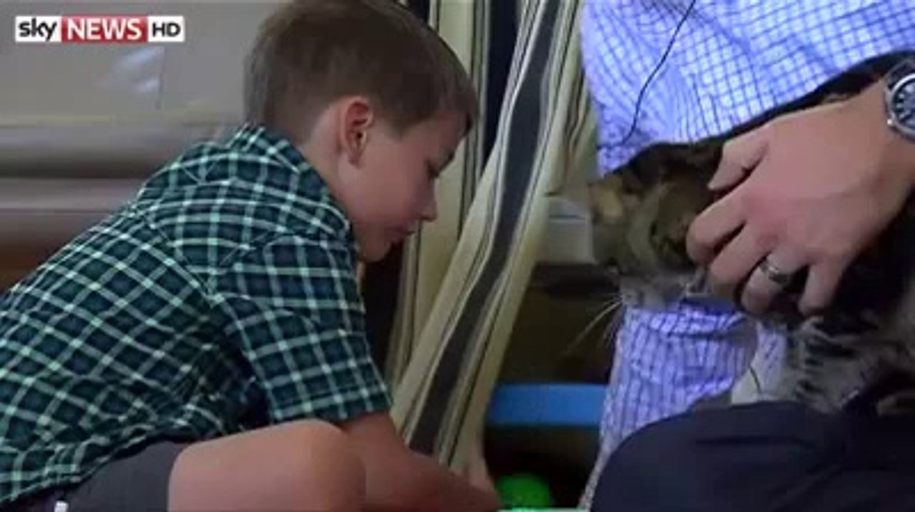 Un chat sauve un petit garçon attaqué par un chien