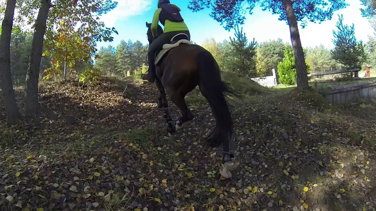 Sandgrube Forchheim 19.10.14