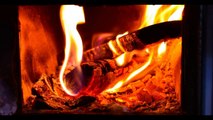 Natural Sounds | Wood Fire Burning in Stove