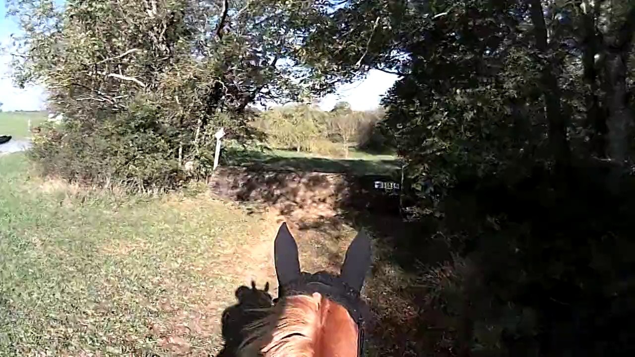 Cross-Amat1-Rodez-Vialetto