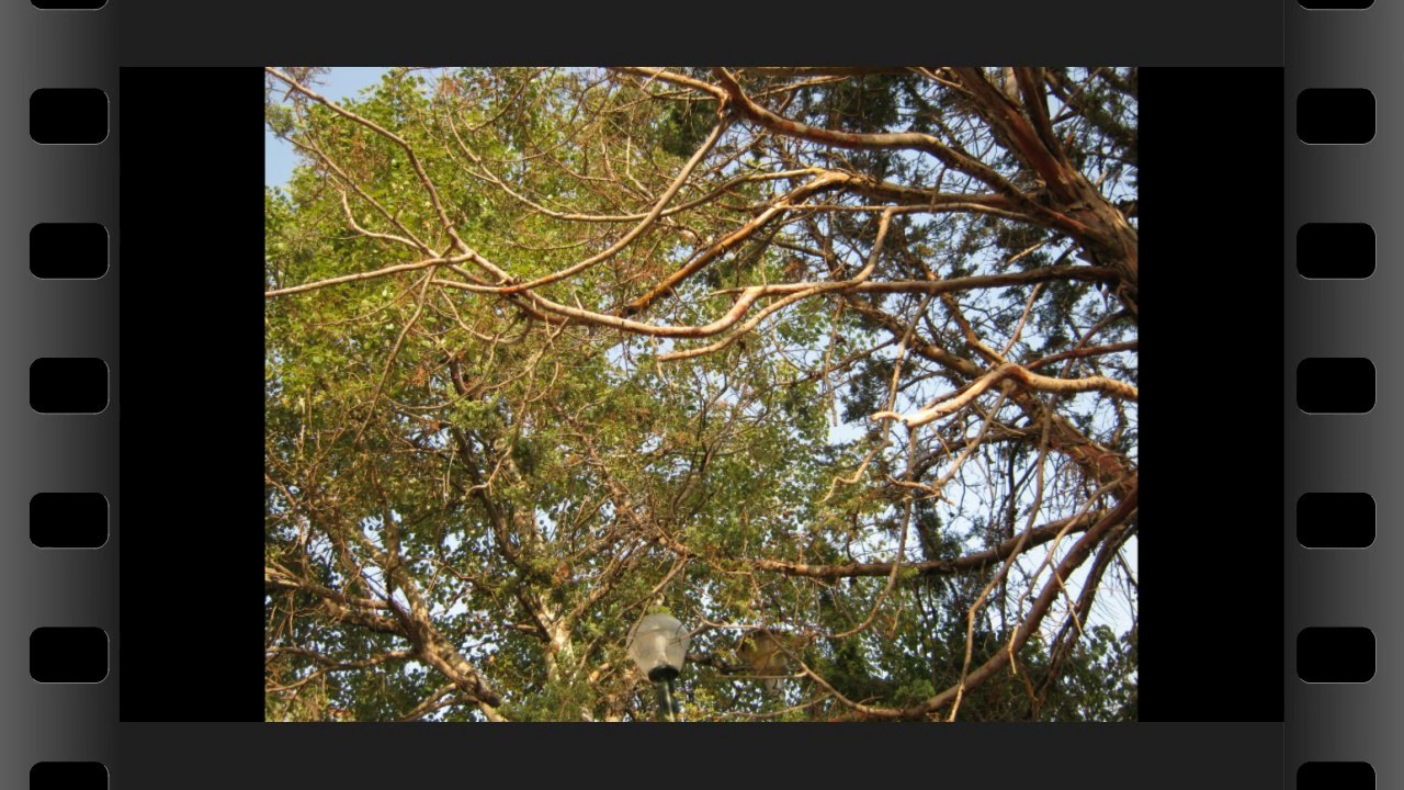 Στην πλατεία Μπουρναζίου (παλαιά)