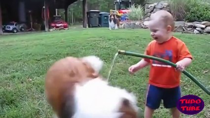 Dogs and Kids   Real Cute And Funny Stuff