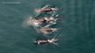 Aerial Drone Captures Incredible Images of Killer Whales in Canada