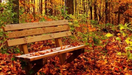 Autumn Colours ♫ ♬ ♪ Őszi színek