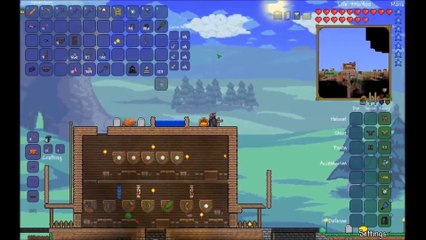 Terraria: How I got my items??