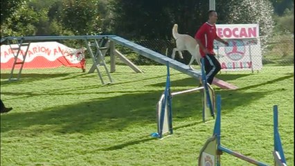Roberto & Gala [Liga Autonomica - Teocan] Sábado18 - ESTANDAR GRADO 1 - 2ª MANGA