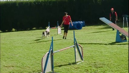 Lucia & Baxter [Liga Autonomica - Teocan] Sábado 18 - ESTANDAR GRADO 1 - 1ª MANGA