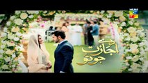 Daay Ijazat Jo Tu Episode 3 on Hum Tv in High Quality 20th October 2014 - DramasOnline