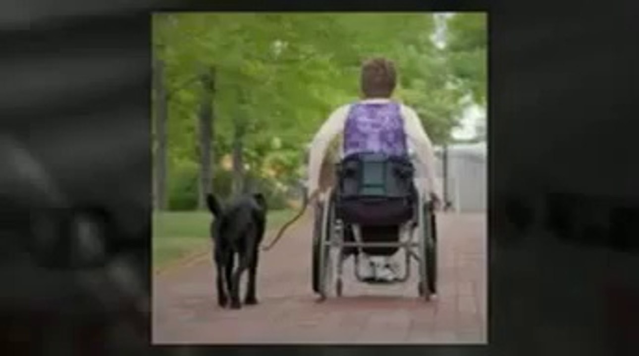 A Natural Multiple Sclerosis Cure — Treatment For Multiple Sclerosis